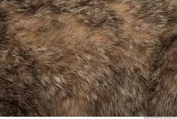 Fur